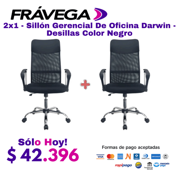 2x1 - Sillón Gerencial De Oficina Darwin - Desillas Color Negro
